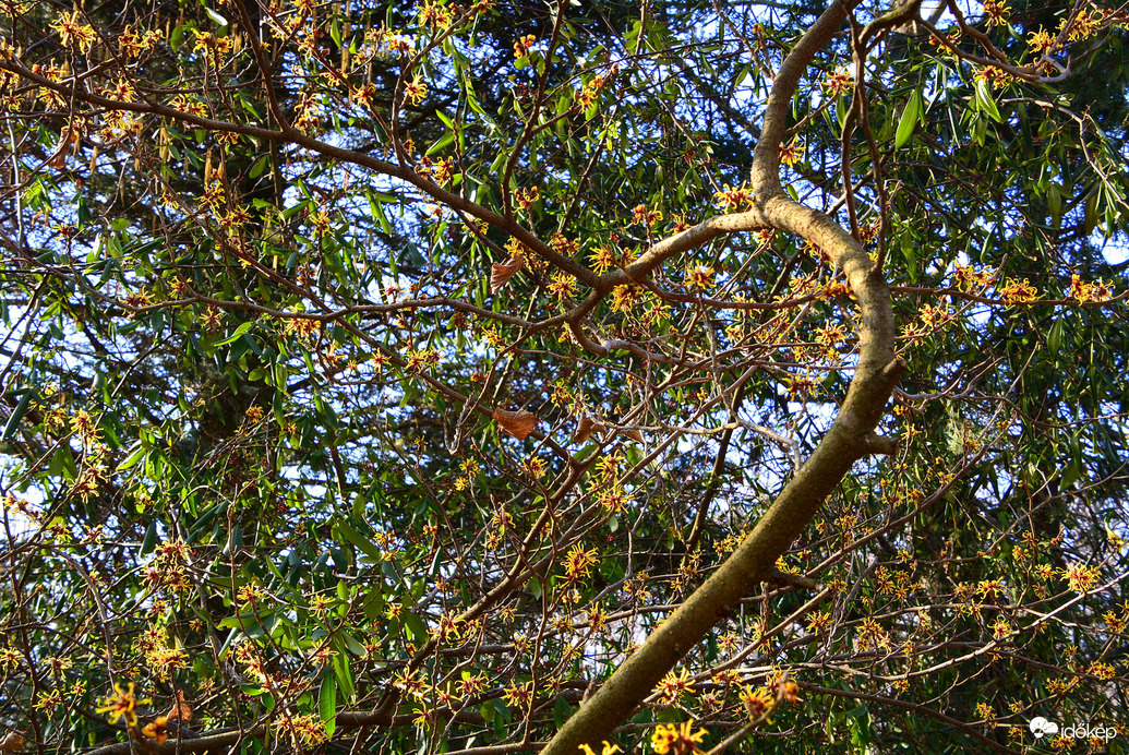 Tavasz a télben 02.22.