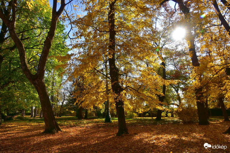 November elején a keszthelyi Festetics-kastély parkjában