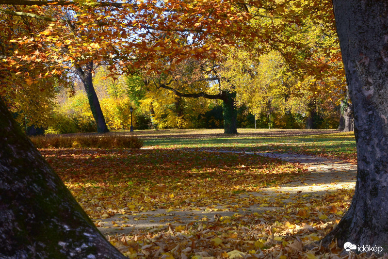 November elején a keszthelyi Festetics-kastély parkjában