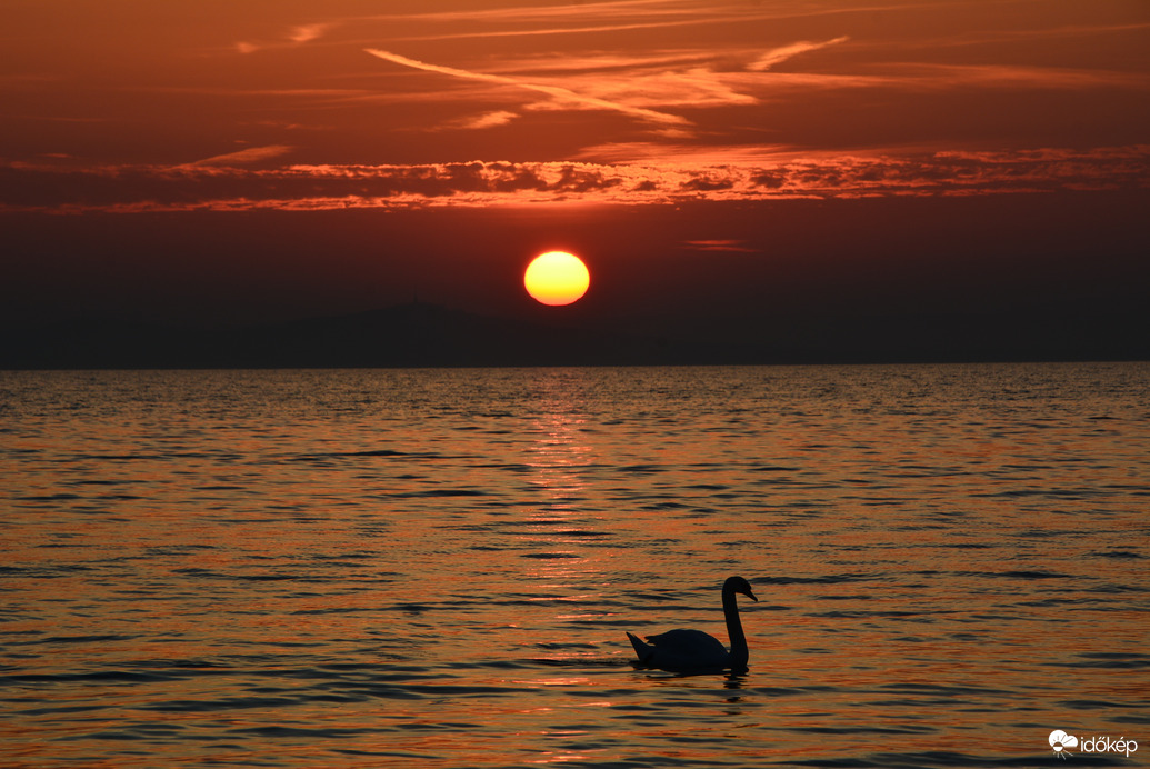 Gyönyörű napkelte hattyúval 03.08.