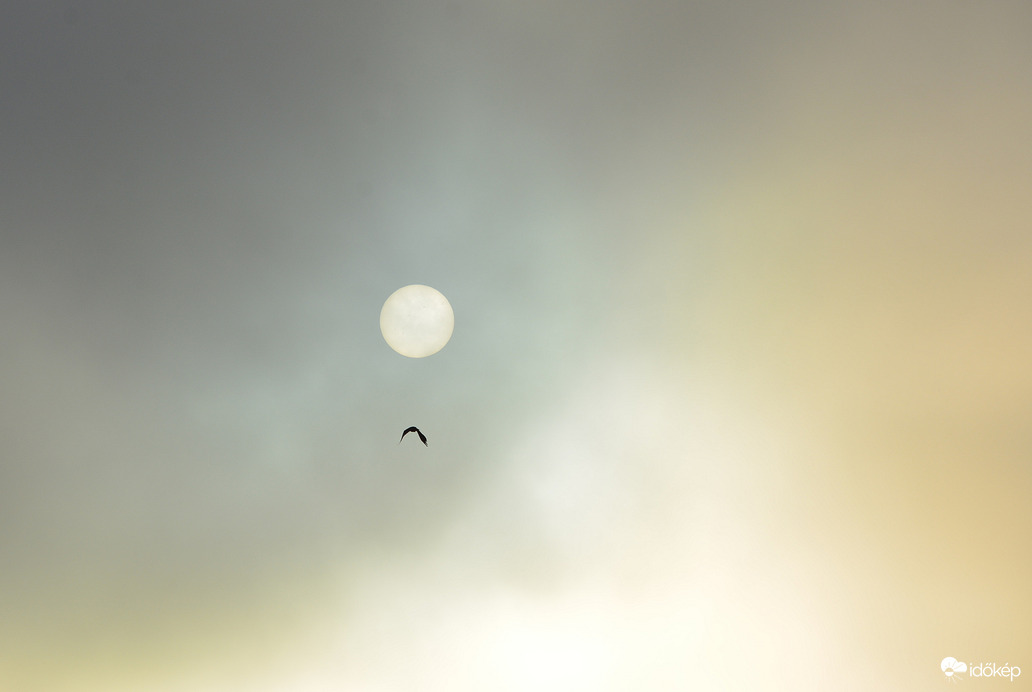 Felhőkön át 08.02.