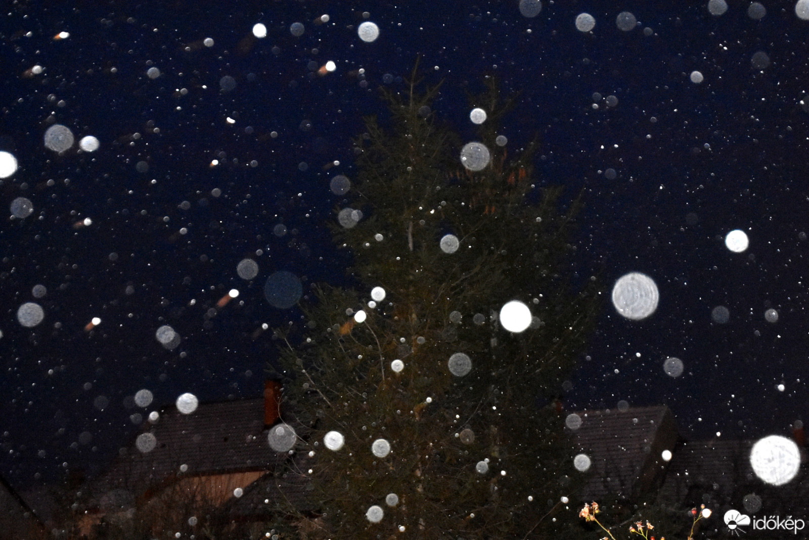 Szombathely, 01.31.