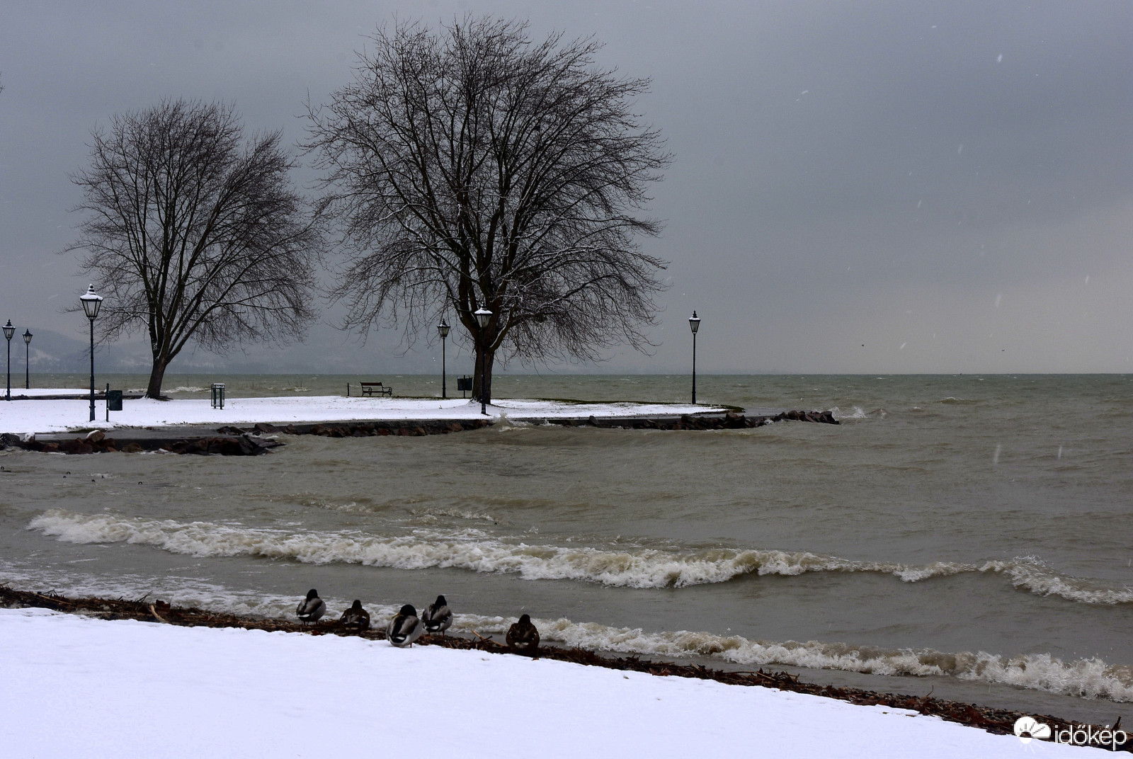 Behavazott Balatongyörök 01.31.