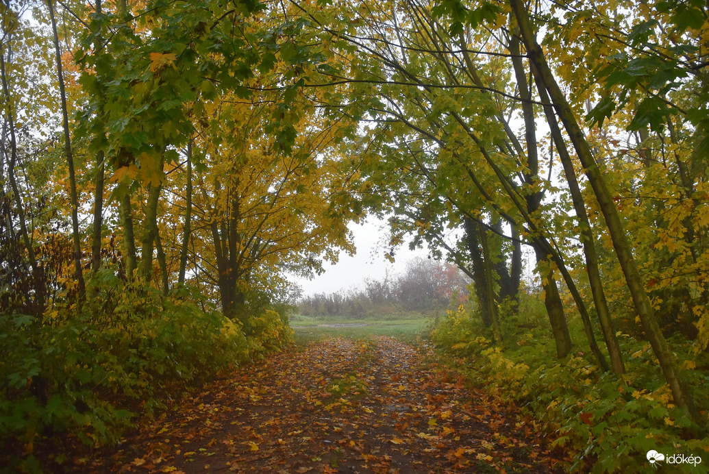 Ősz 10.23.