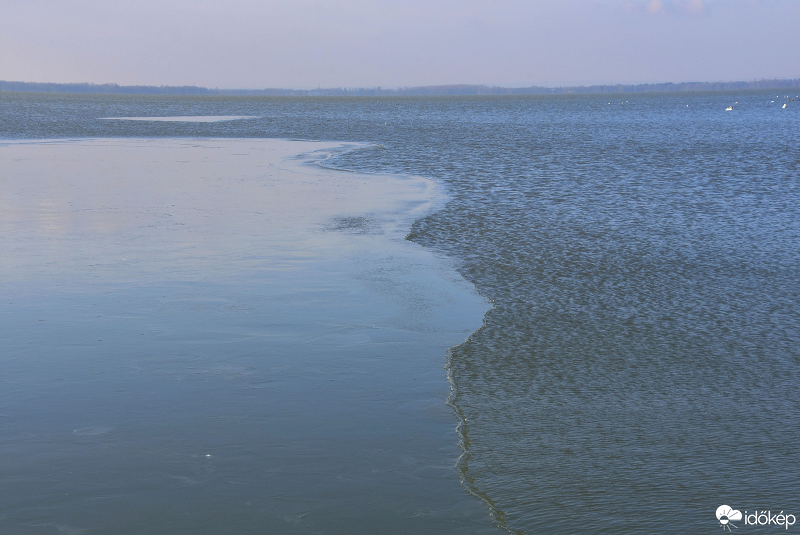 Vonyarcvashegyen a part mentén, van már jégképződés a vízen. 02.13.