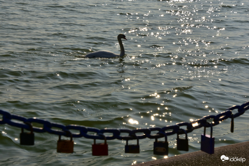 Keszthelyi csillámok 02.20.