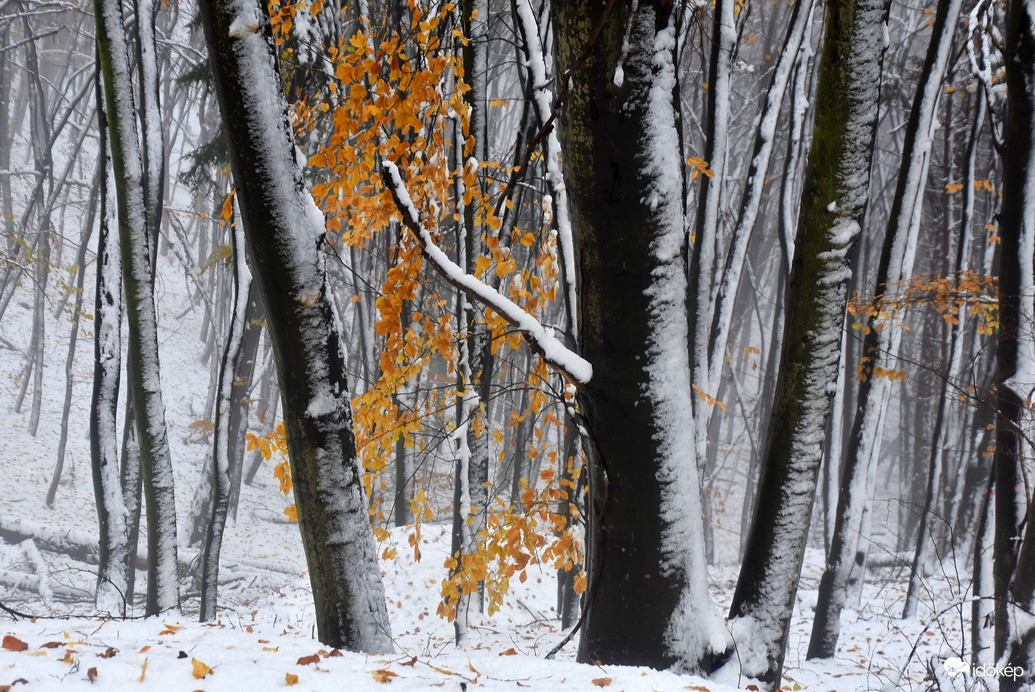 Az ősz és a tél találkozása a Kőszegi-hegyen 11.23.
