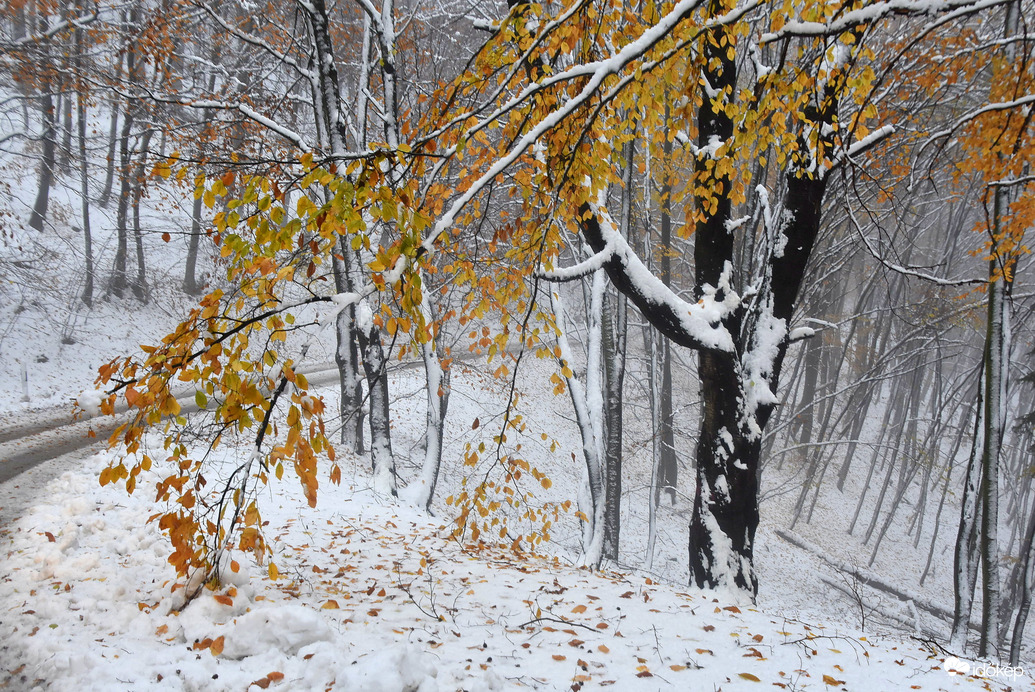 Az ősz és a tél találkozása a Kőszegi-hegyen 11.23.