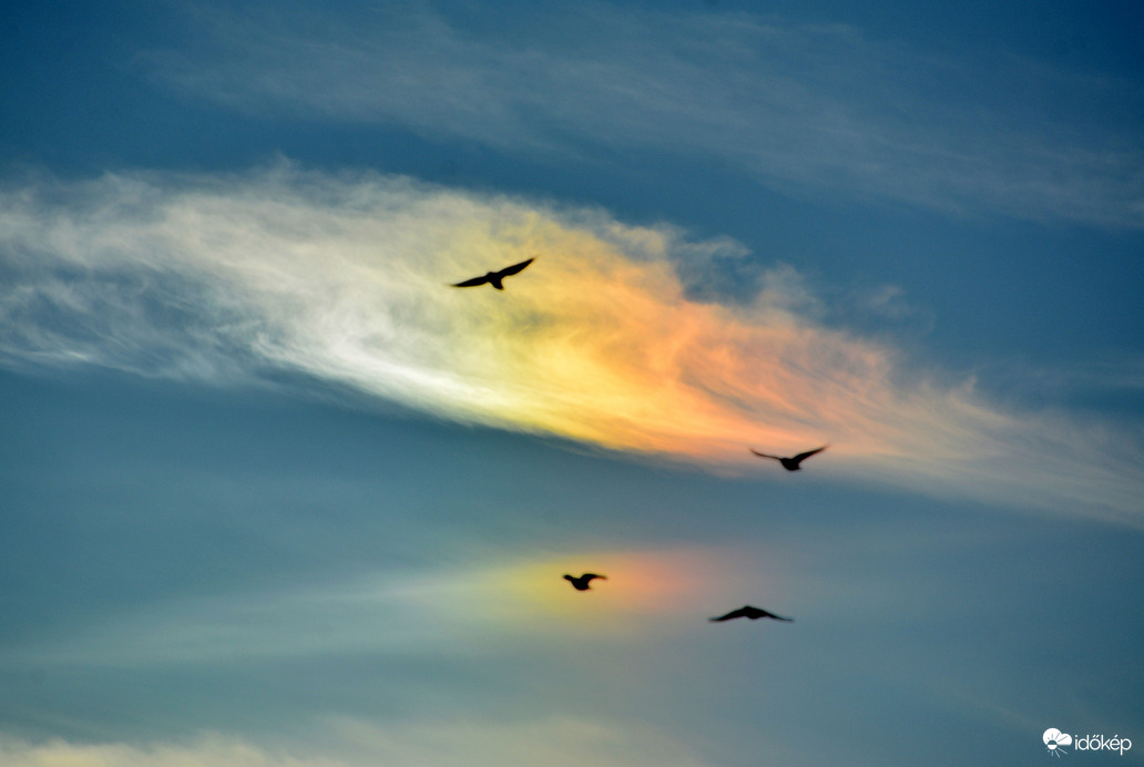 Bal oldali melléknap madarakkal Szombathely felett 09.05.