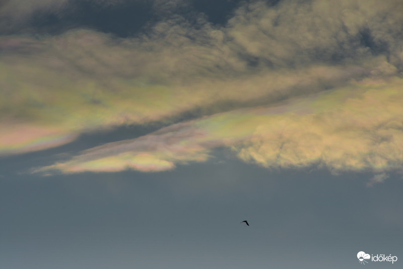 Reggeli szép 03.17.