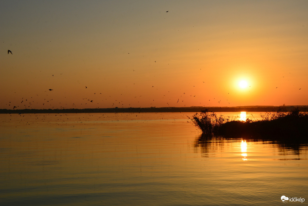 Naplemente fecskékkel 09.08.
