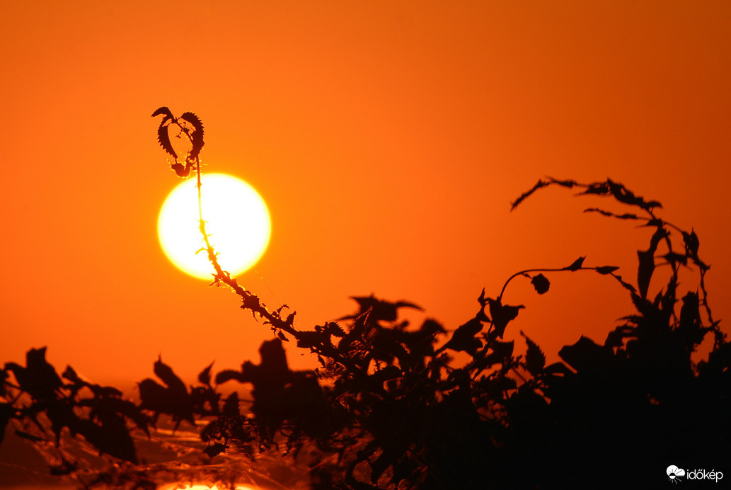 Szeptemberi naplemente 09.08.