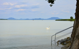 Balatonberényi pillanatkép 06.09.