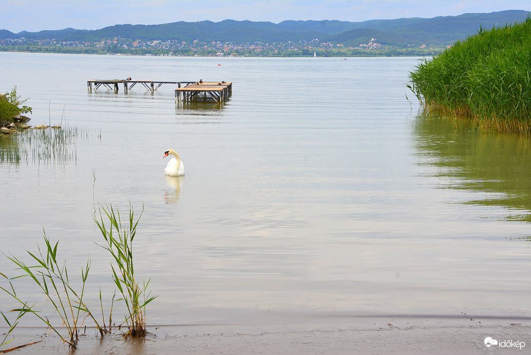 Balatonberényi pillanatkép 06.09.