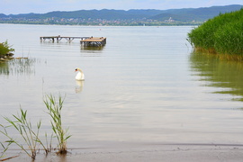 Balatonberényi pillanatkép 06.09.