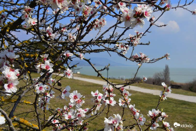 Tavaszi panoráma a Balatongyöröki Szépkilátóról 03.20.