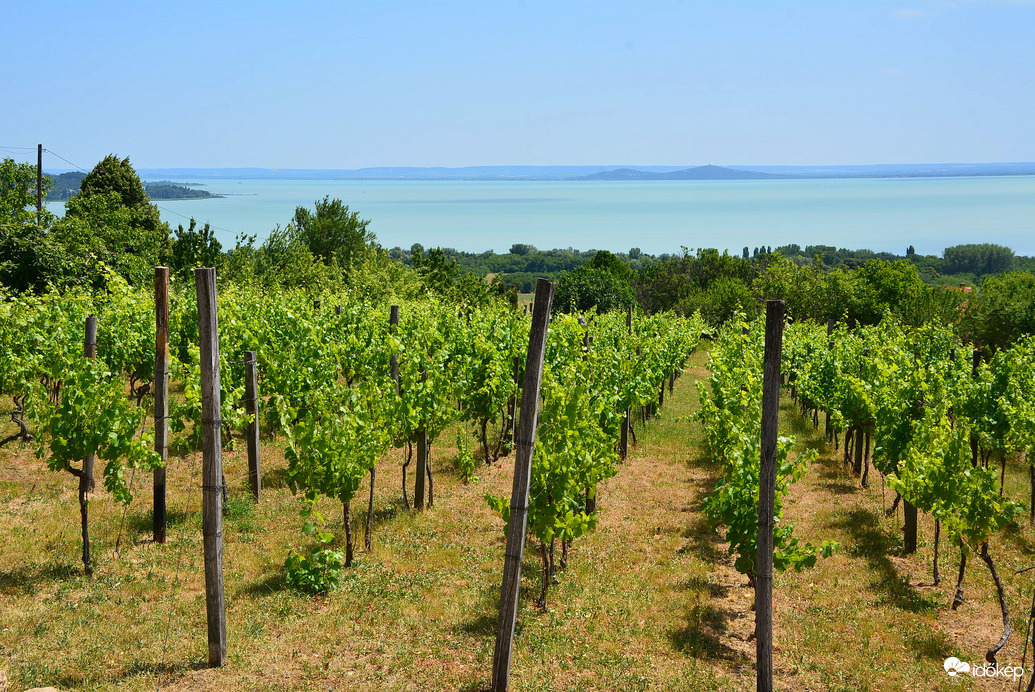 Balatongyöröki panoráma 06.20.