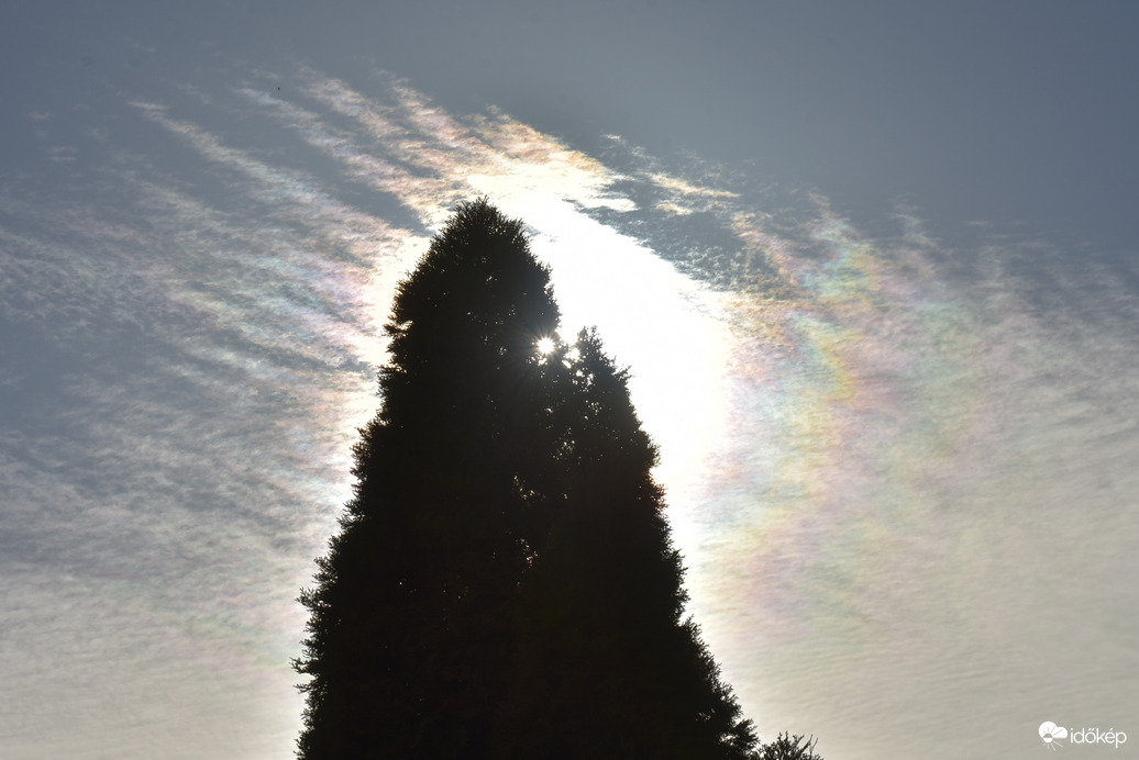 Napkoszorú Keszthelyen 01.29.