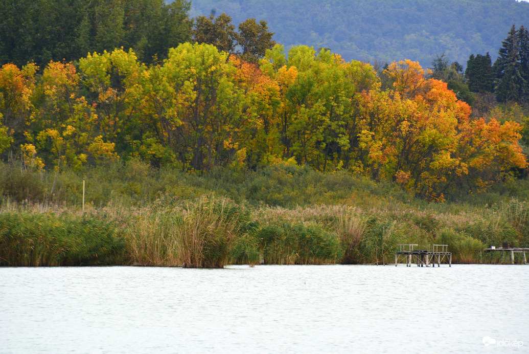 Októberi ősz Badacsonyban 10.08.