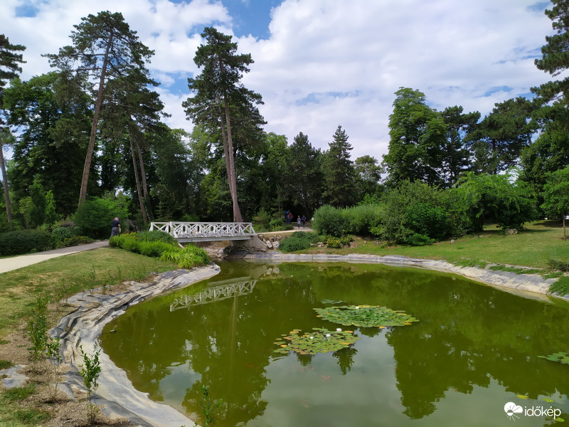 Festetics Kastély parkja 07.17.