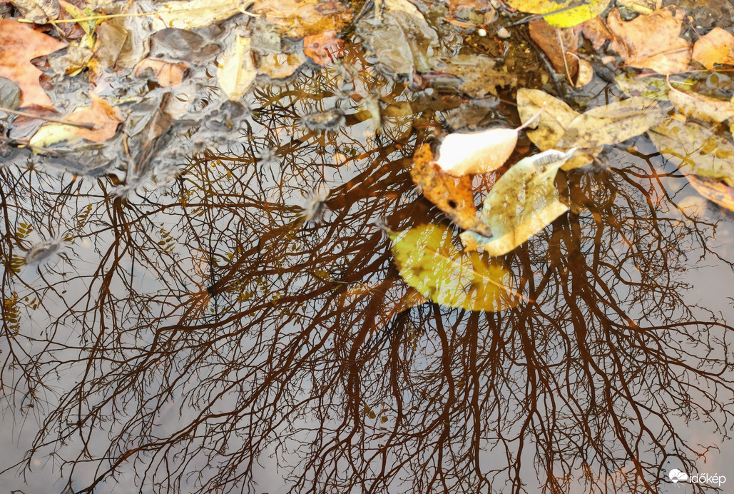 Ősz 11.03.