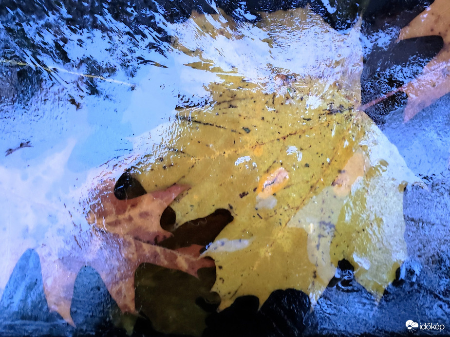 Ma reggeli jégbe zárt levelek 11.30.