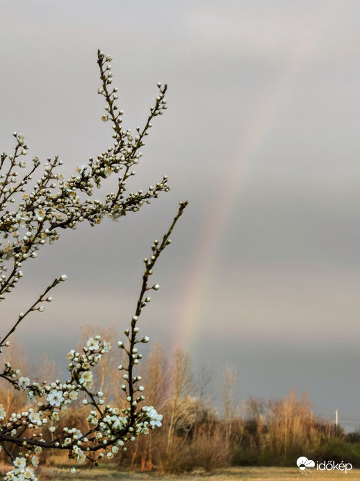 Jelenleg Szombathelyen