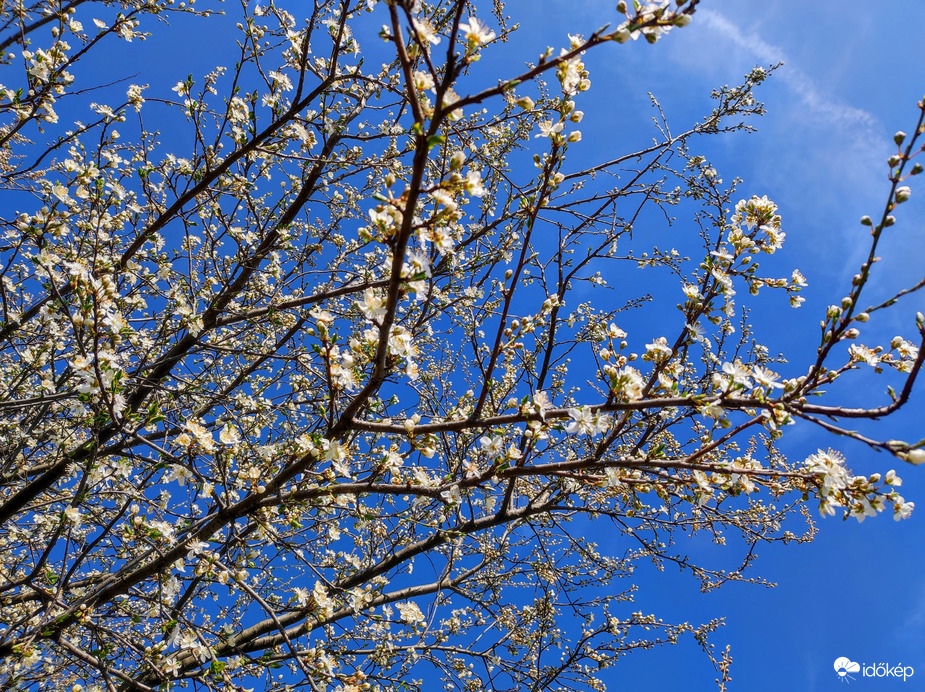 Tavasz van 03.21.