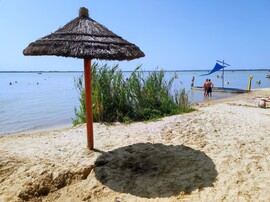 Strandon 08.12.