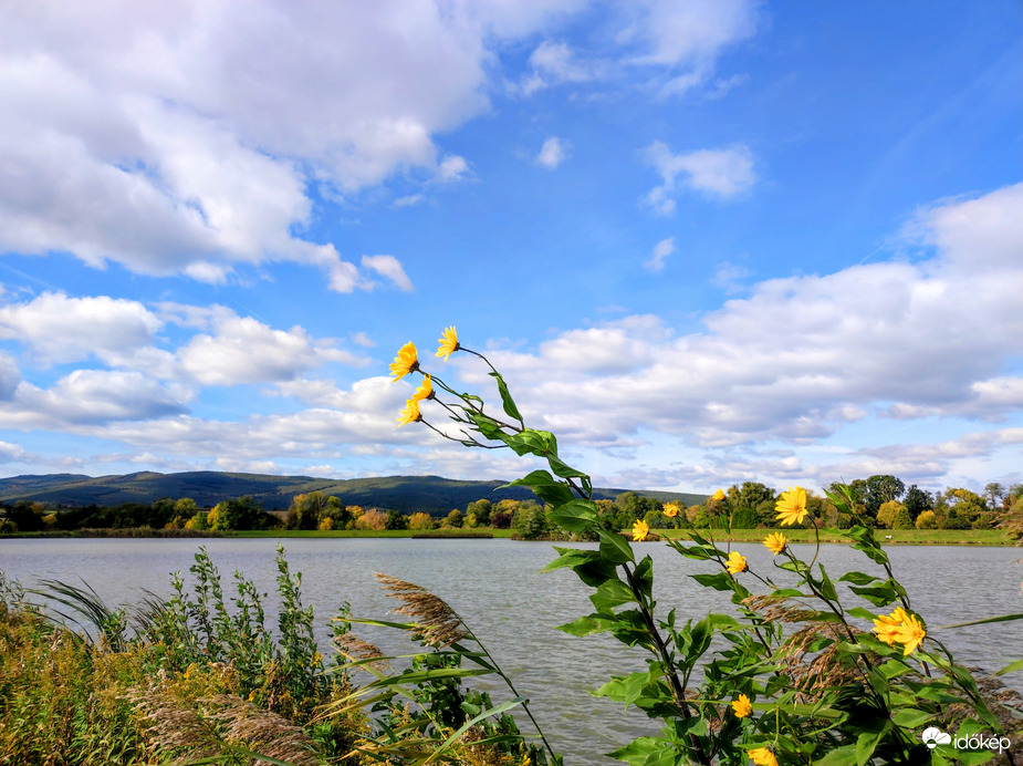 Októberi ősz az Abért-tónál 10.11.