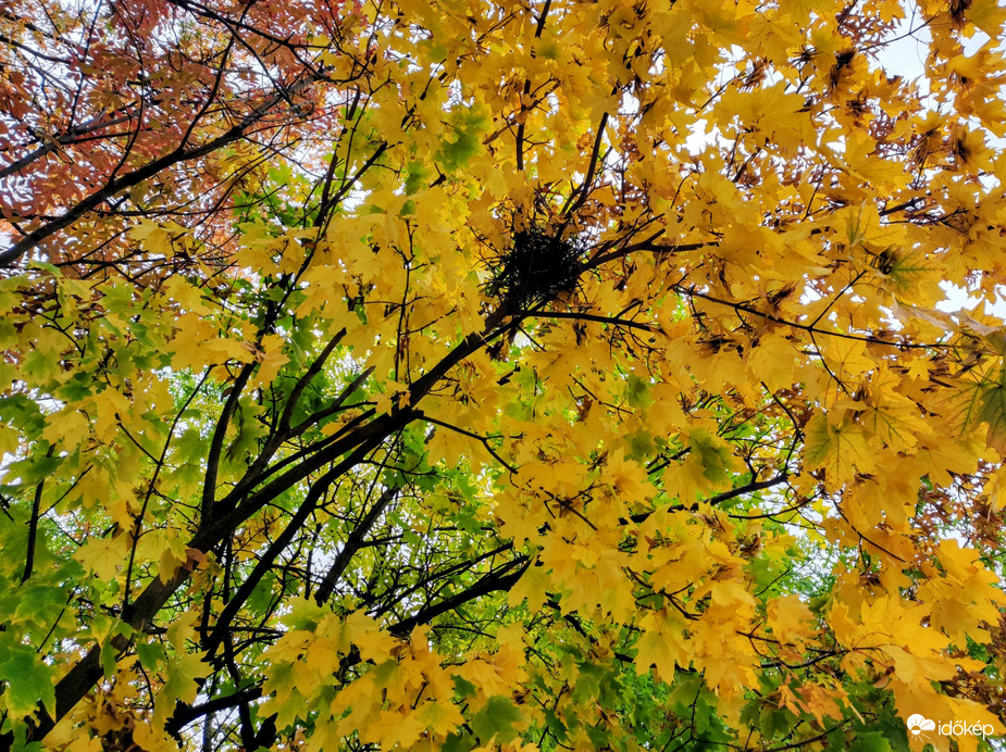 Színek a szürke időjárásban 10.16.