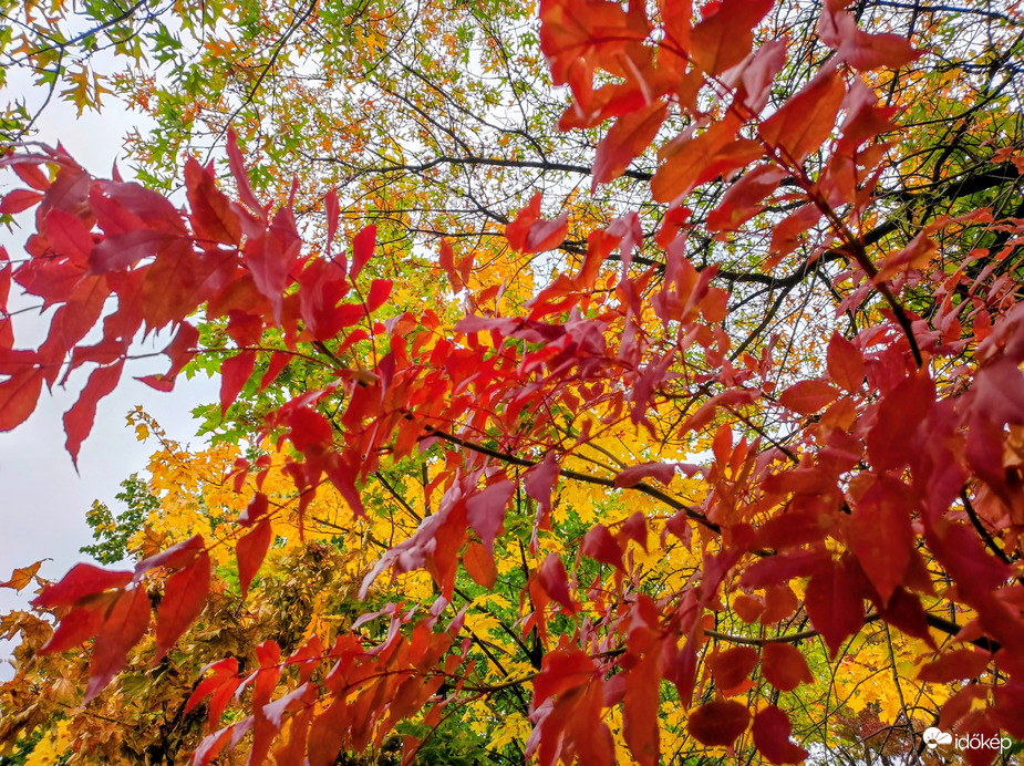Színek a szürke időjárásban 10.16.