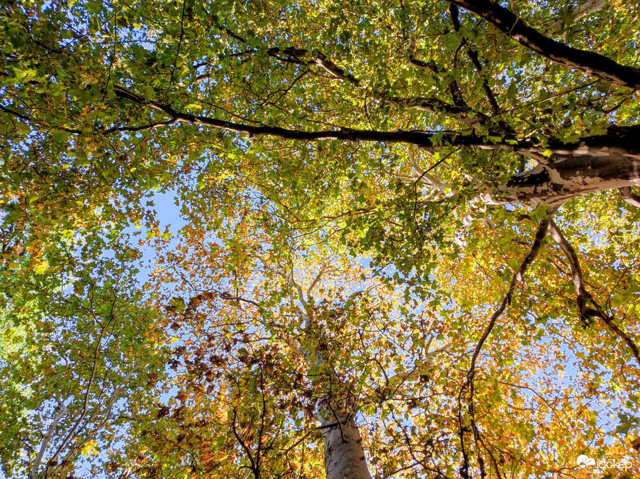 Október végén 10.29.