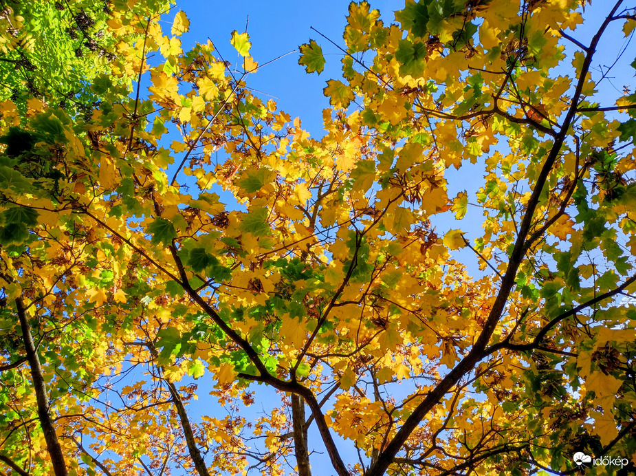 Október végén 10.29.