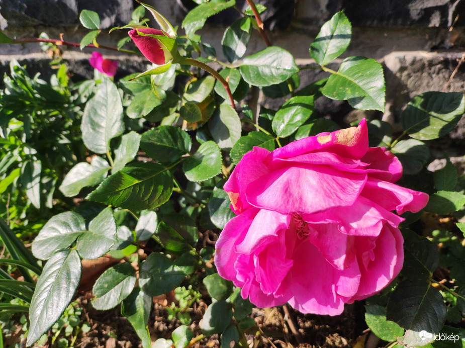 Novemberi ősz 11.02.