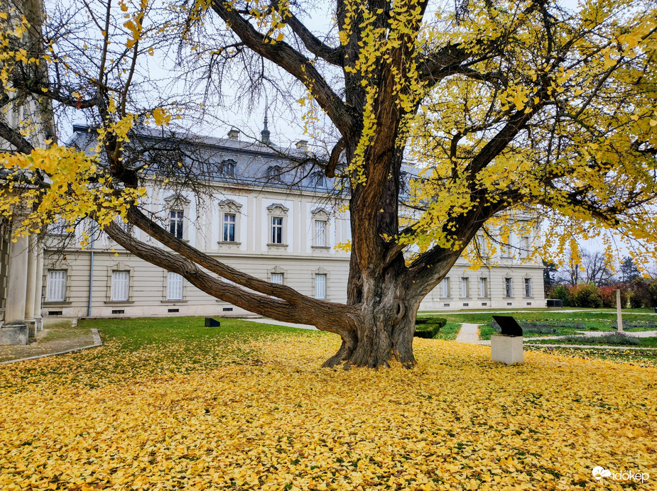 November közepén 11.16.