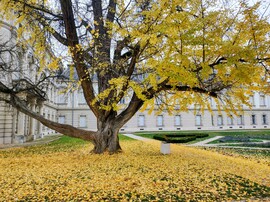 November közepén 11.16.