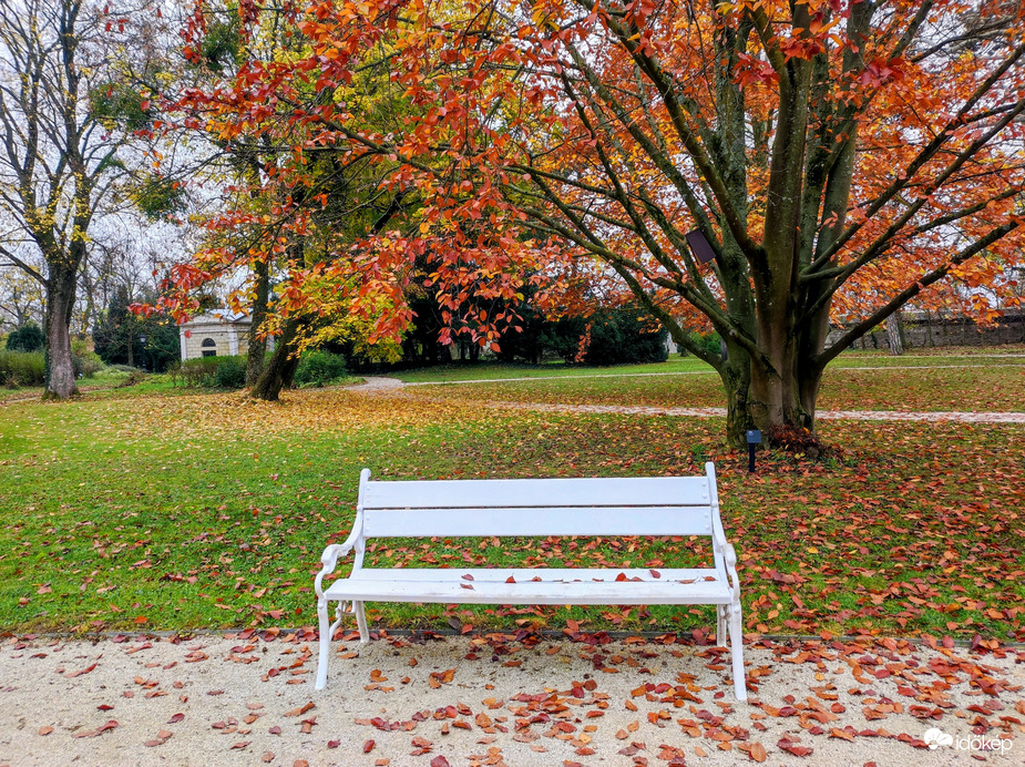 November közepén 11.16.