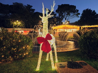 Advent Veronában 12.12.