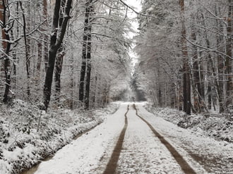 Út a havas erdőbe 12.25.