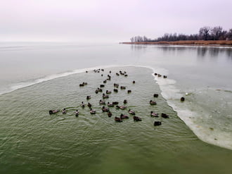 Mai napkelte Balatongyörökön 01.20.