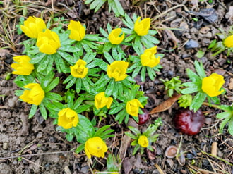 Esőcseppesen 02.07.