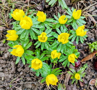 Szív az esőben 02.07.