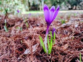 Jön a tavasz 02.13.