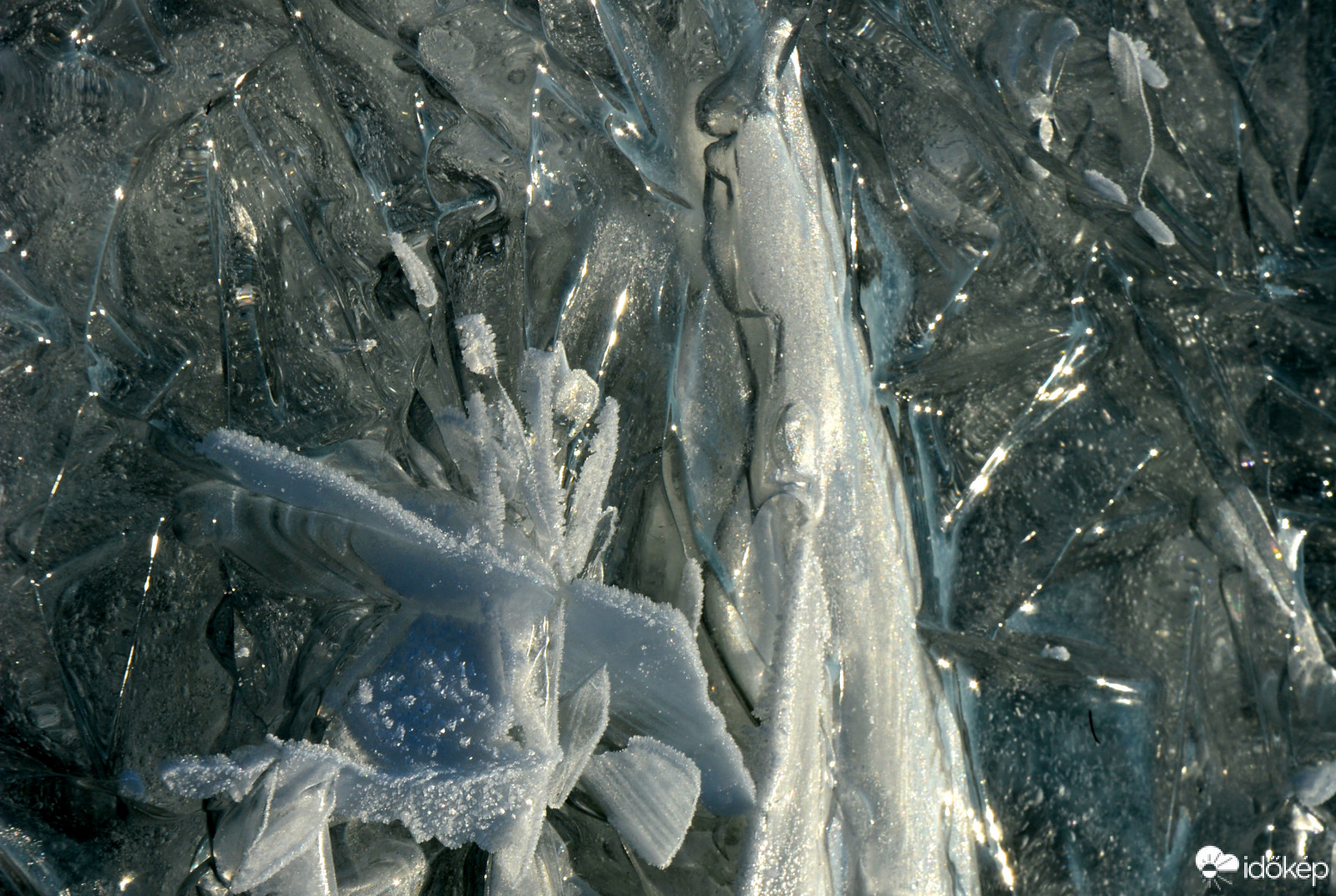 Jeges ember jégvirággal 2017-ben a befagyott Balaton jegén állva fotóztam