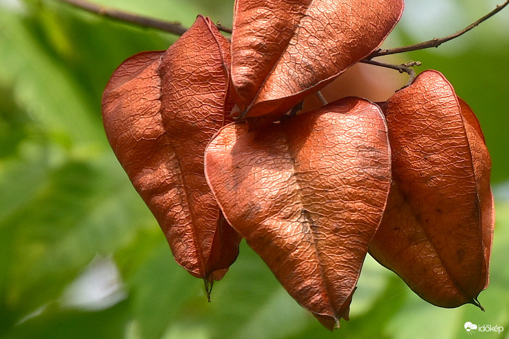 Az ősz jelei 09.04.