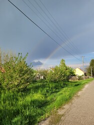 Onga