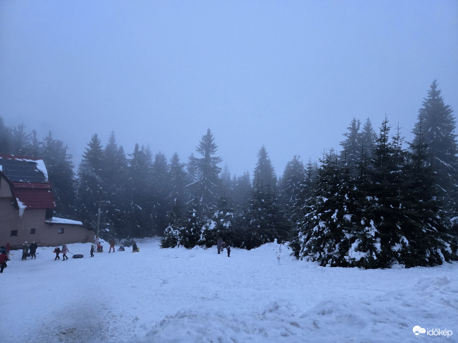 Sat de vacanță Vârtop