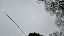 Kiskunhalas