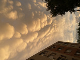 Mammatus